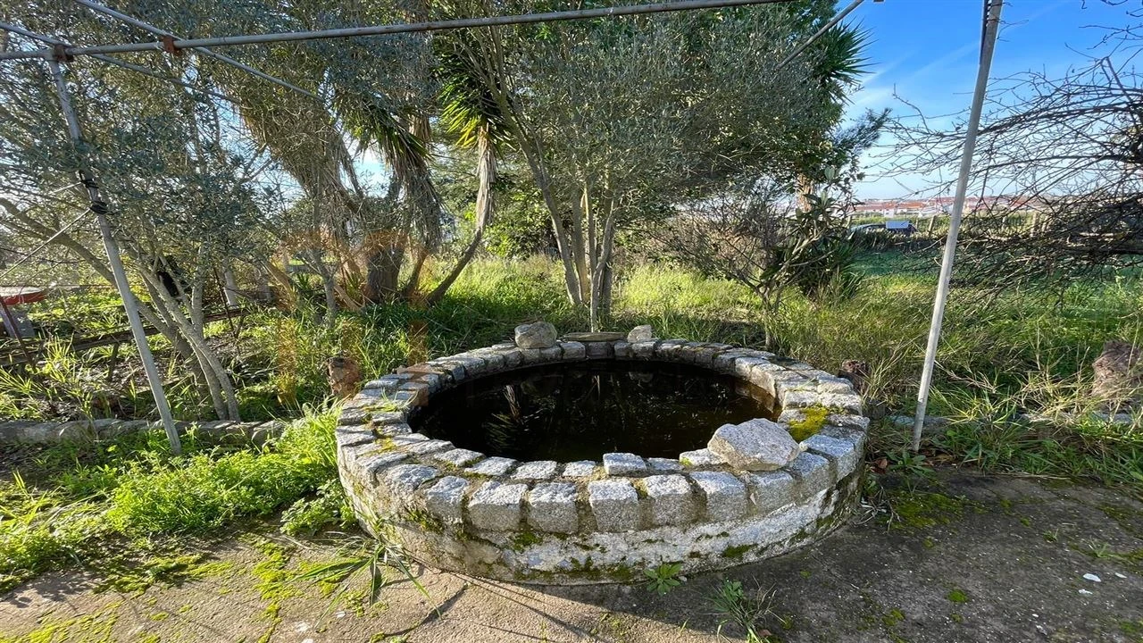 Quinta T1 para Venda em Ferreira do Alentejo e Canhestros Foto 10