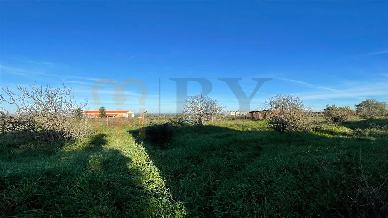 Quinta T1 para Venda em Ferreira do Alentejo e Canhestros Foto 14