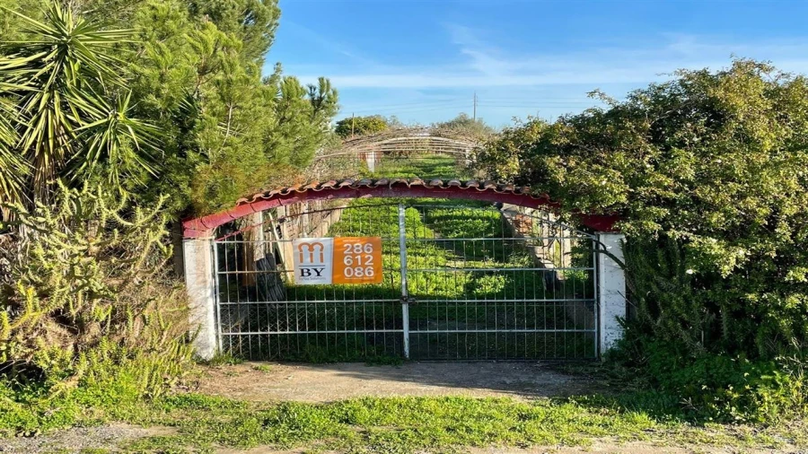 Quinta T1 para Venda em Ferreira do Alentejo e Canhestros Foto 1