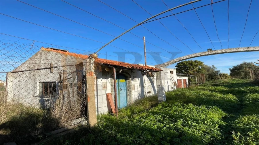 Quinta T1 para Venda em Ferreira do Alentejo e Canhestros Foto 8