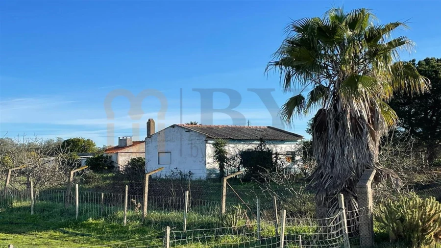 Quinta T1 para Venda em Ferreira do Alentejo e Canhestros Foto 9