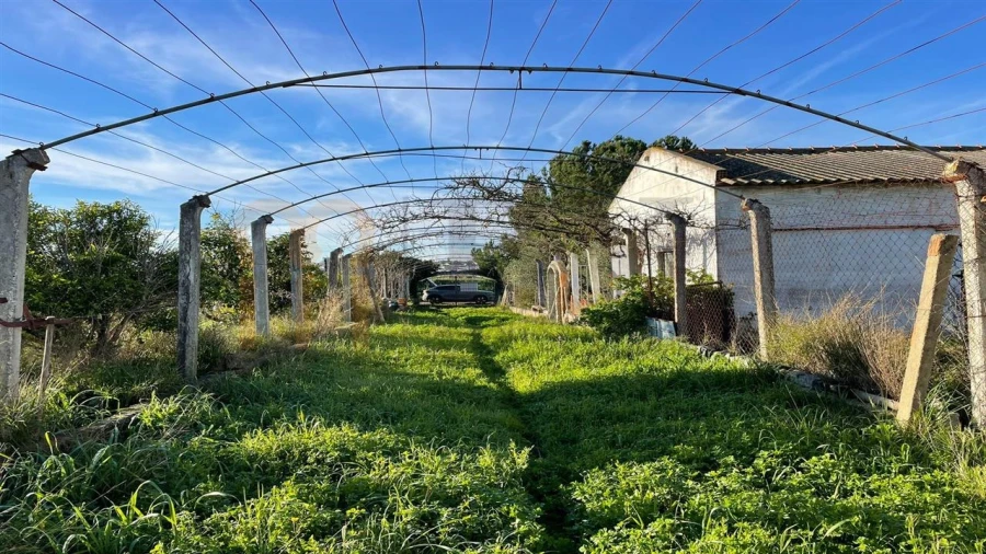 Quinta T1 para Venda em Ferreira do Alentejo e Canhestros Foto 12