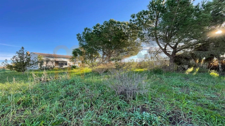 Quinta T1 para Venda em Ferreira do Alentejo e Canhestros Foto 13