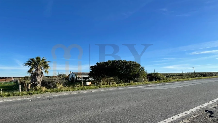 Quinta T1 para Venda em Ferreira do Alentejo e Canhestros Foto 15