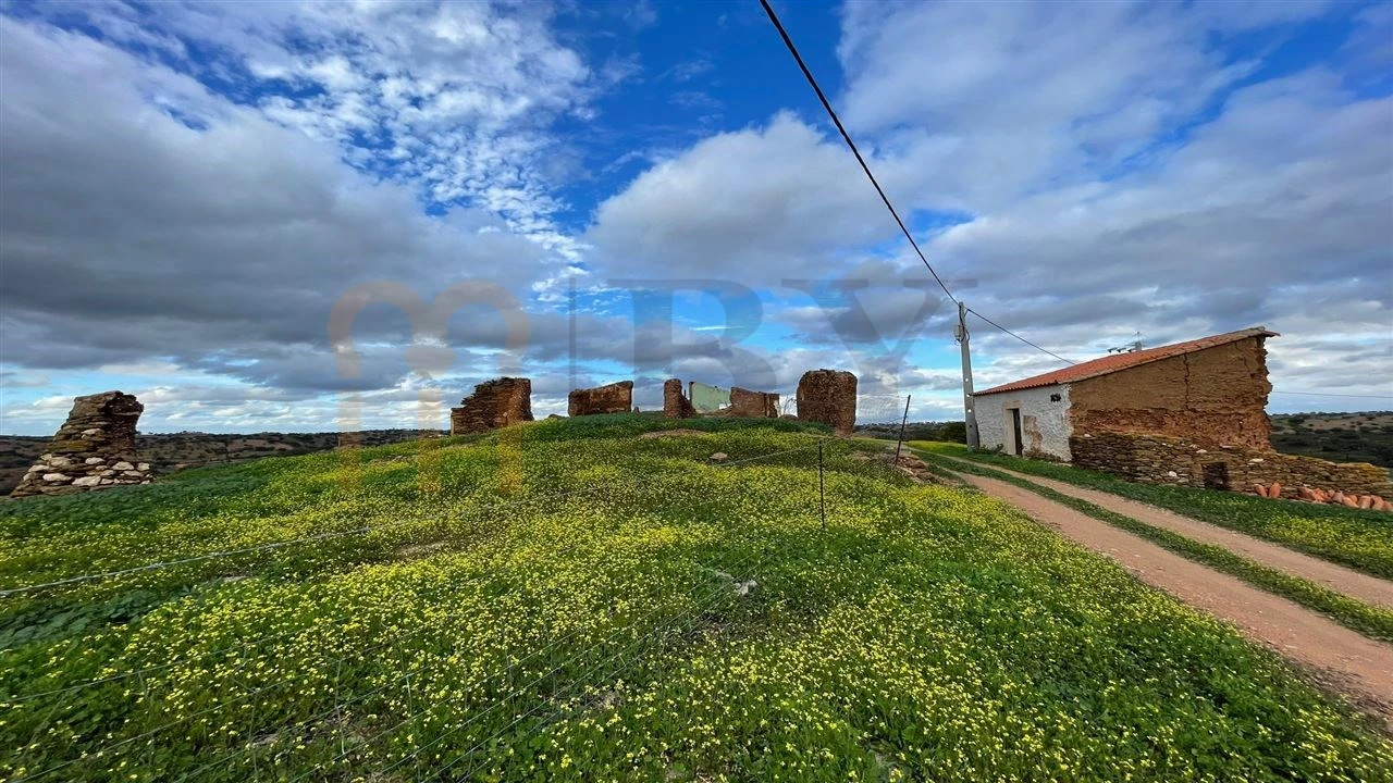 Quinta para Venda em Serpa (Salvador e Santa Maria) Foto 3