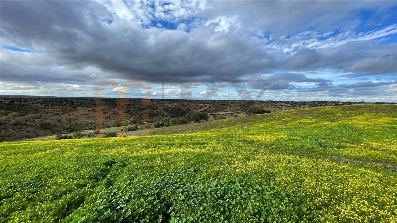 Quinta para Venda em Serpa (Salvador e Santa Maria) Foto 5