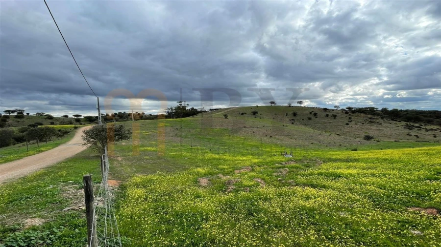 Quinta para Venda em Serpa (Salvador e Santa Maria) Foto 6