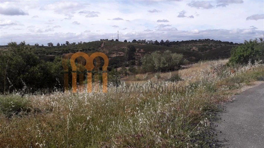Terreno Agricola ou Rústico para Venda em Espirito Santo Foto 2