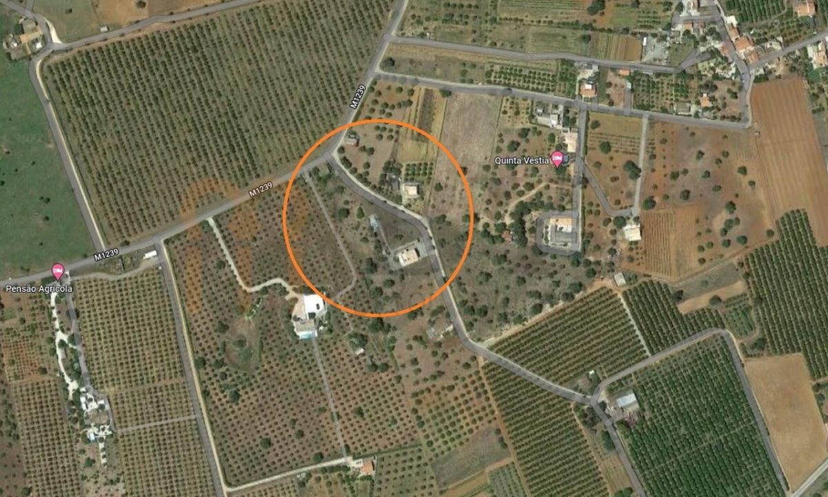 Quinta para Venda em Conceição e Cabanas de Tavira Foto 12