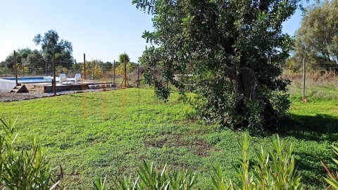Quinta para Venda em Conceição e Cabanas de Tavira