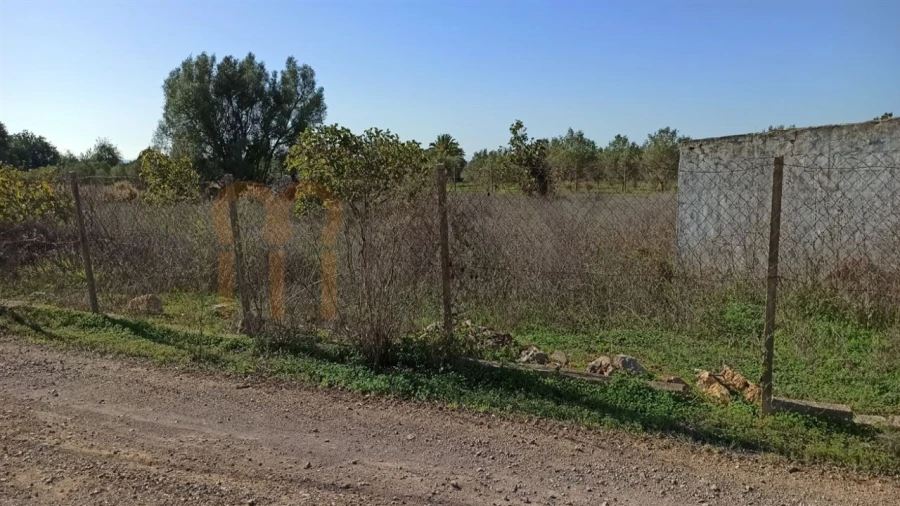 Quinta para Venda em Conceição e Cabanas de Tavira Foto 10