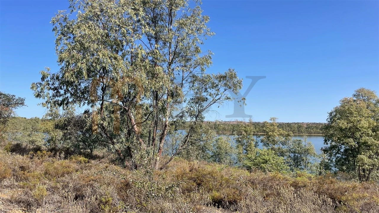 Terreno Agricola ou Rústico para Venda em Santana de Cambas Foto 9