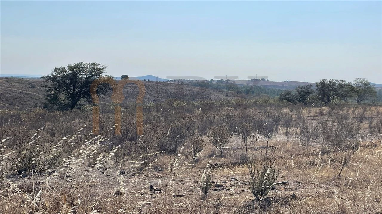 Terreno Agricola ou Rústico para Venda em Santana de Cambas Foto 13