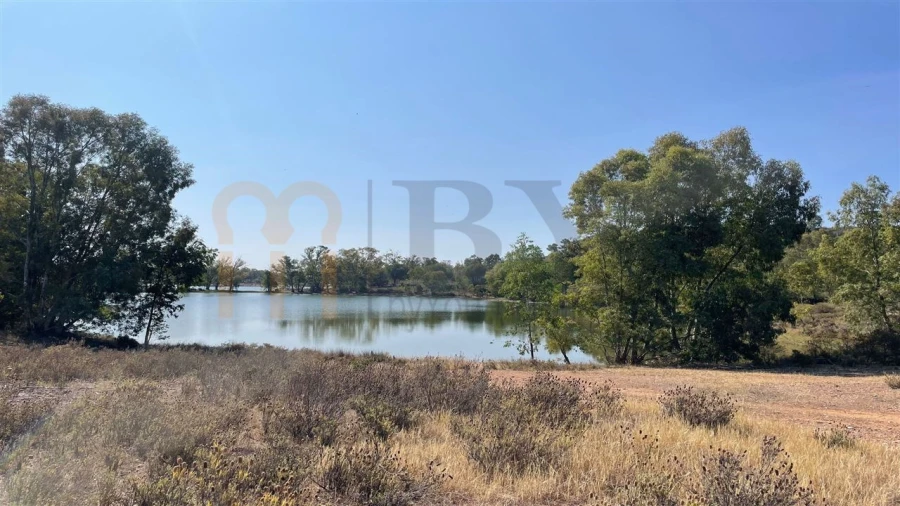 Terreno Agricola ou Rústico para Venda em Santana de Cambas Foto 2