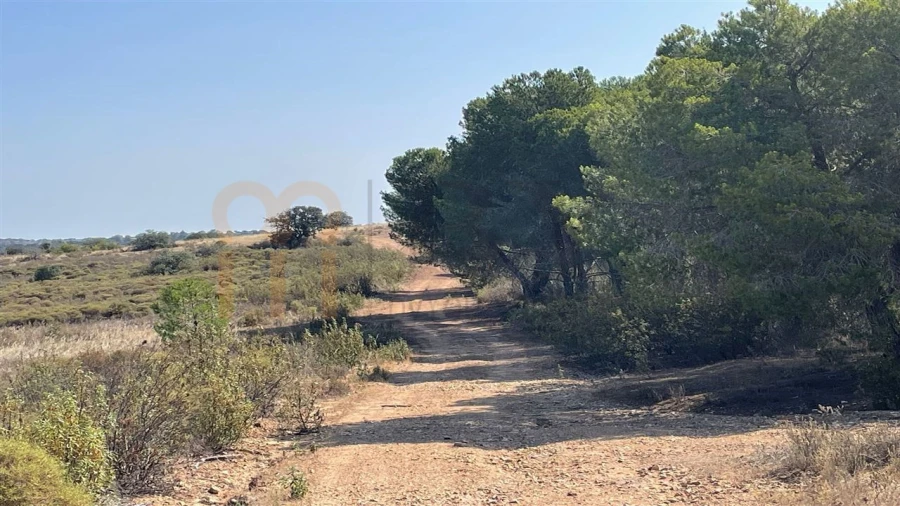 Terreno Agricola ou Rústico para Venda em Santana de Cambas Foto 12
