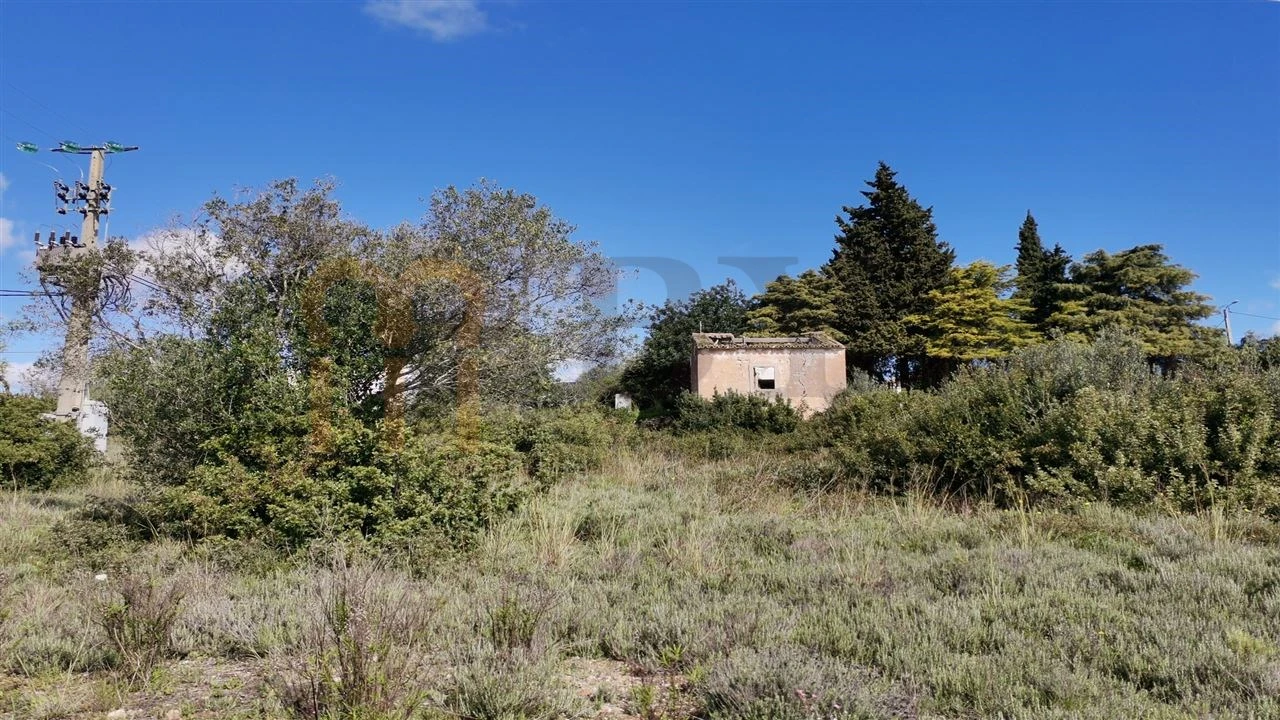 Terreno Misto para Venda em Loule (São Clemente) Foto 3
