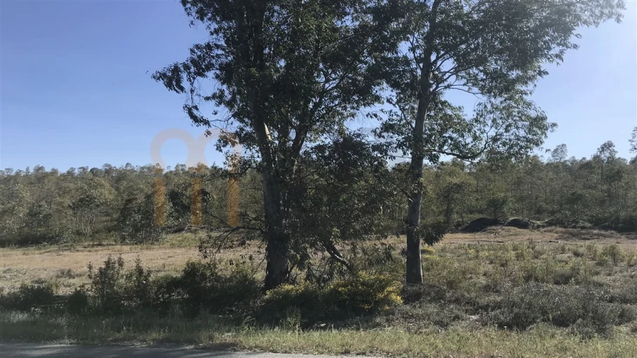 Terreno Agricola ou Rústico para Venda em Santana de Cambas Foto 5