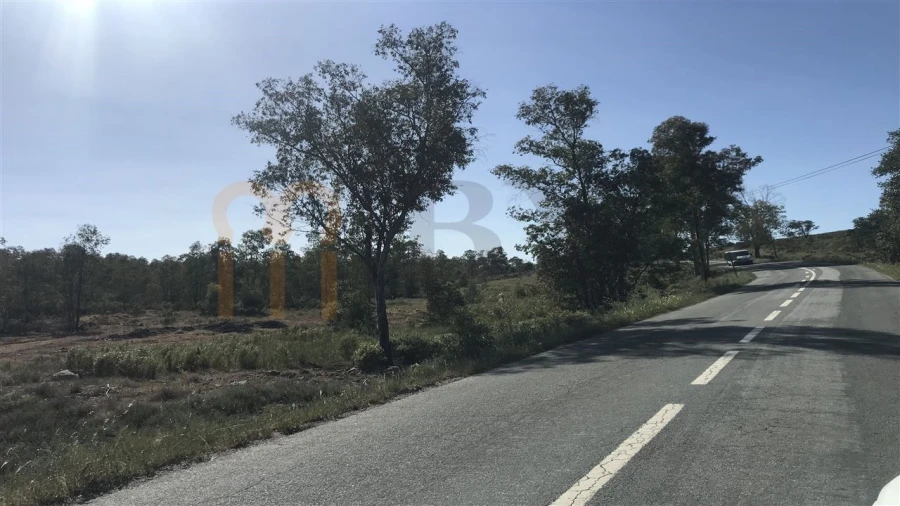 Terreno Agricola ou Rústico para Venda em Santana de Cambas Foto 2