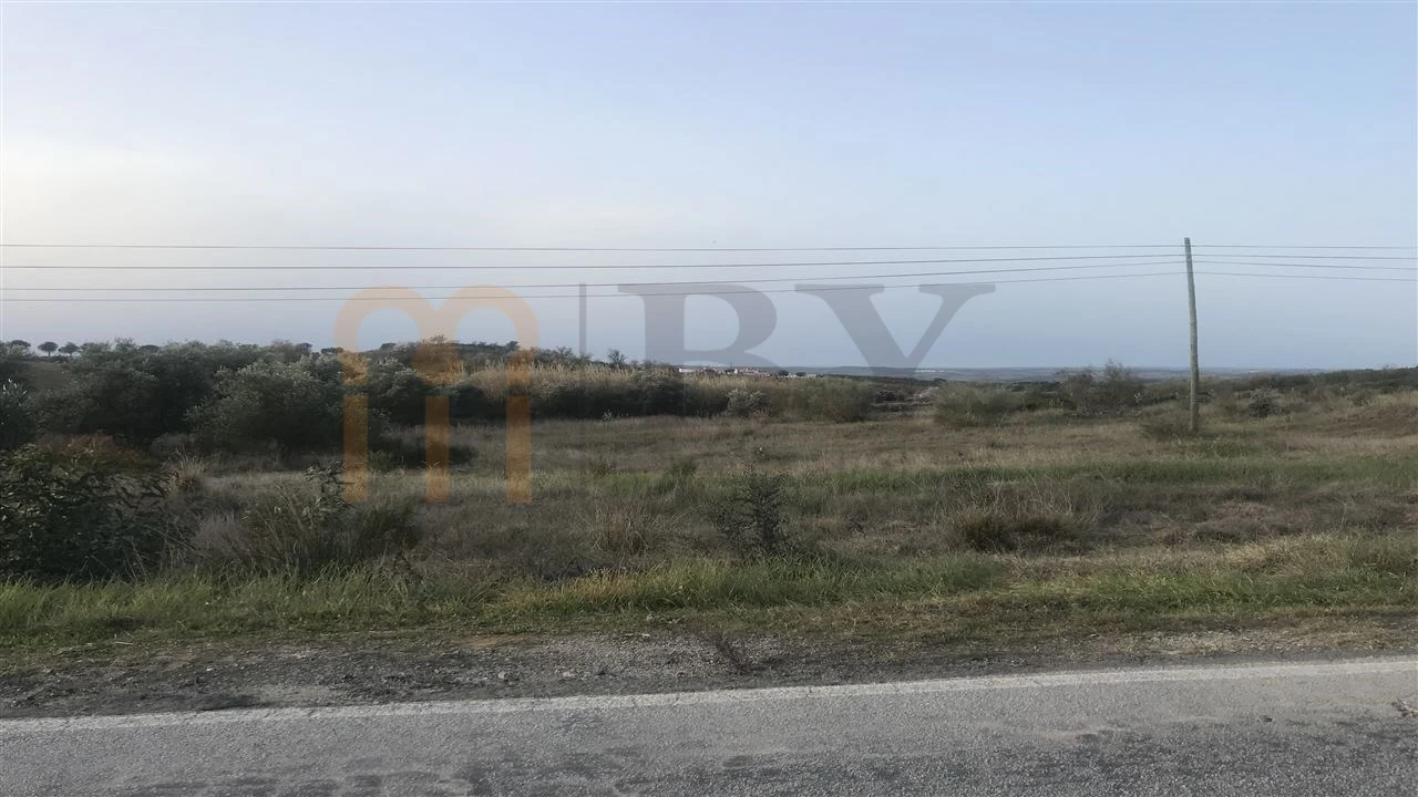 Terreno para Venda em Mertola Foto 8