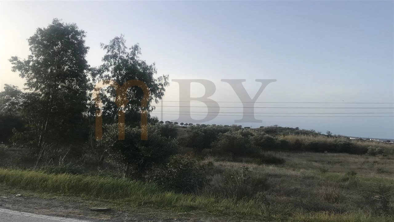 Terreno para Venda em Mertola Foto 9