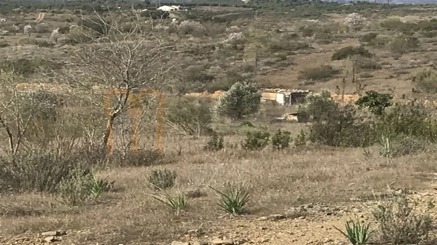 Terreno para Venda em Mertola Foto 7