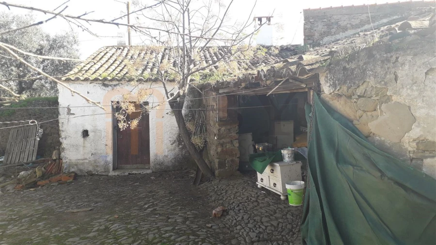Terreno para Venda em São Miguel do Pinheiro, São Pedro de Solis, São Sebastião dos Carros Foto 2