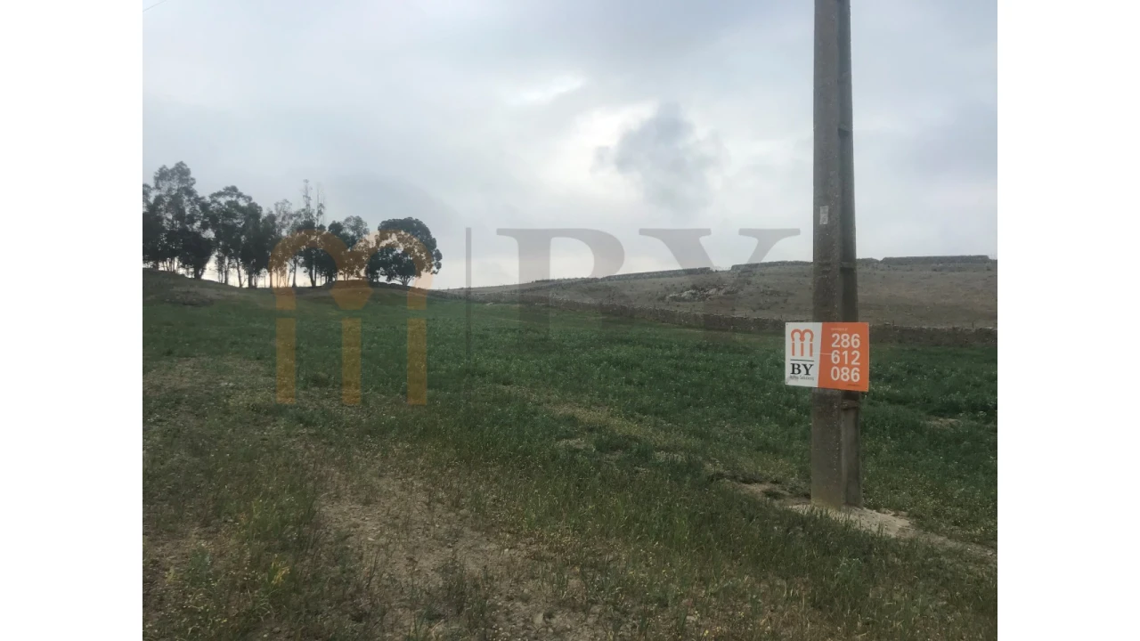 Terreno para Venda em São Miguel do Pinheiro, São Pedro de Solis, São Sebastião dos Carros Foto 1