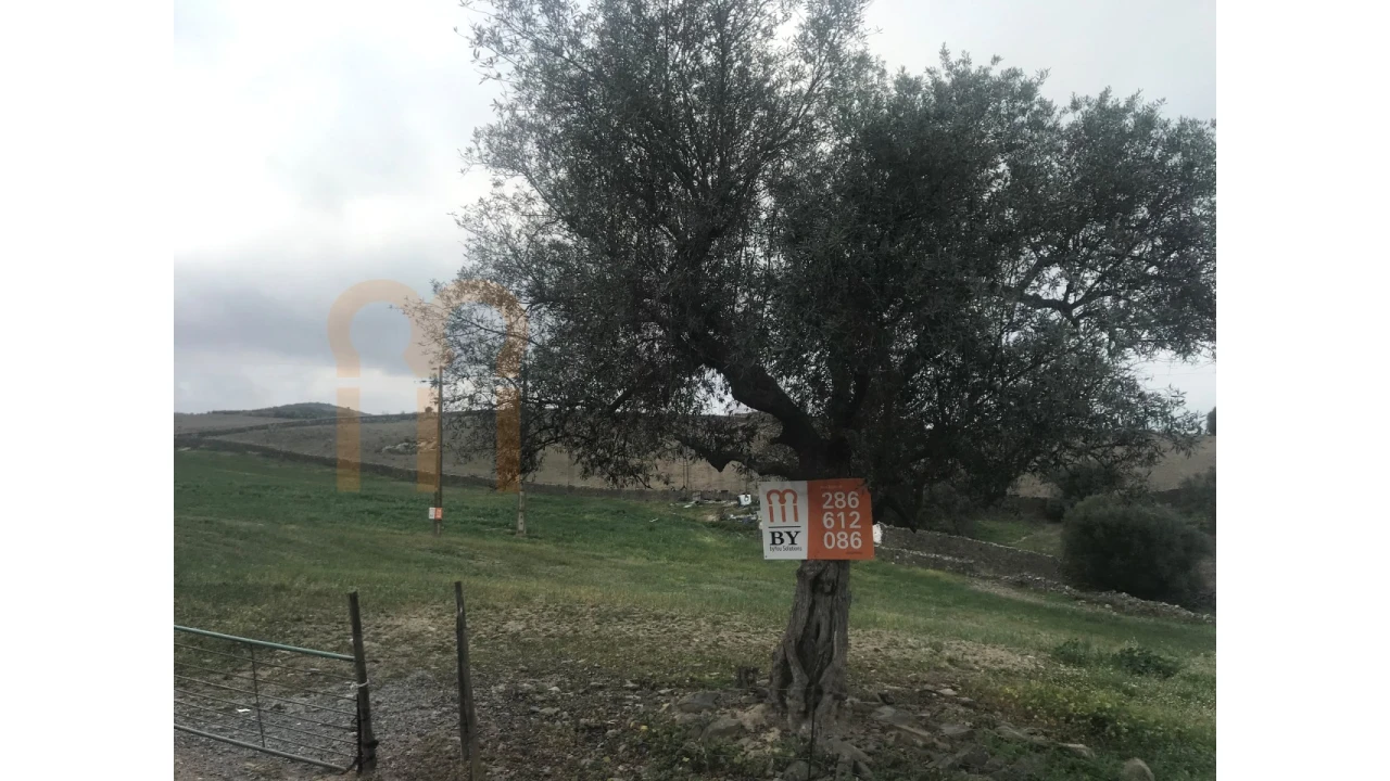 Terreno para Venda em São Miguel do Pinheiro, São Pedro de Solis, São Sebastião dos Carros Foto 4