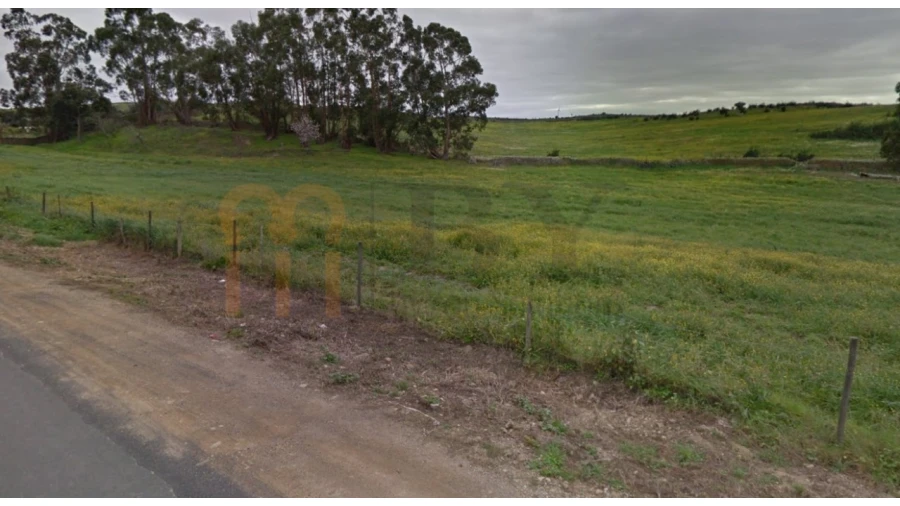 Terreno para Venda em São Miguel do Pinheiro, São Pedro de Solis, São Sebastião dos Carros Foto 3