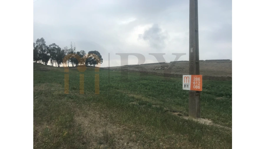 Terreno para Venda em São Miguel do Pinheiro, São Pedro de Solis, São Sebastião dos Carros Foto 1