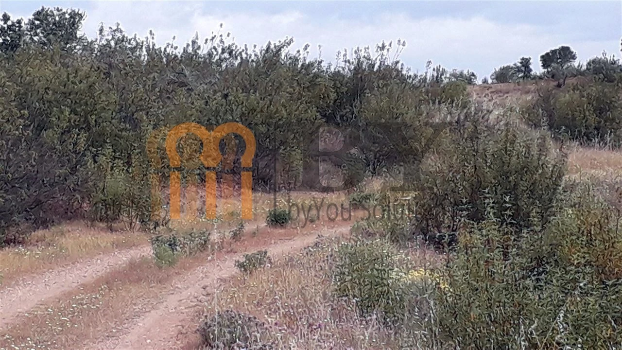 Quinta para Venda em Mertola Foto 2