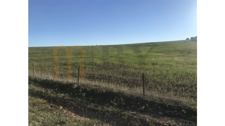 Terreno Agricola ou Rústico para Venda em Alcaria Ruiva Foto 1