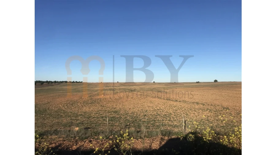 Terreno Agricola ou Rústico para Venda em Alcaria Ruiva Foto 2