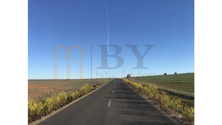 Terreno Agricola ou Rústico para Venda em Alcaria Ruiva Foto 3