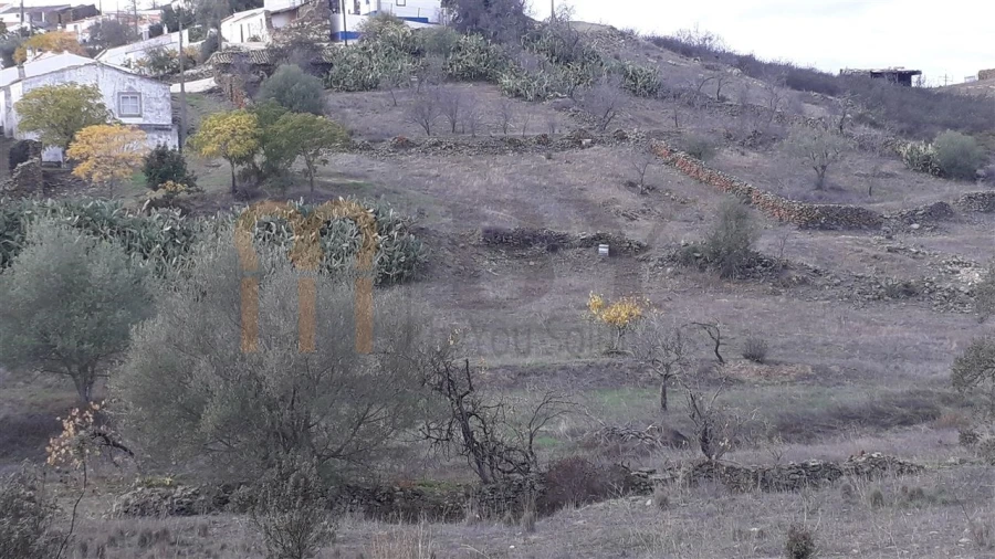 Terreno Agricola ou Rústico para Venda em Espirito Santo Foto 1