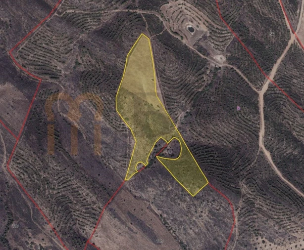 Terreno Agricola ou Rústico para Venda em Espirito Santo Foto 2