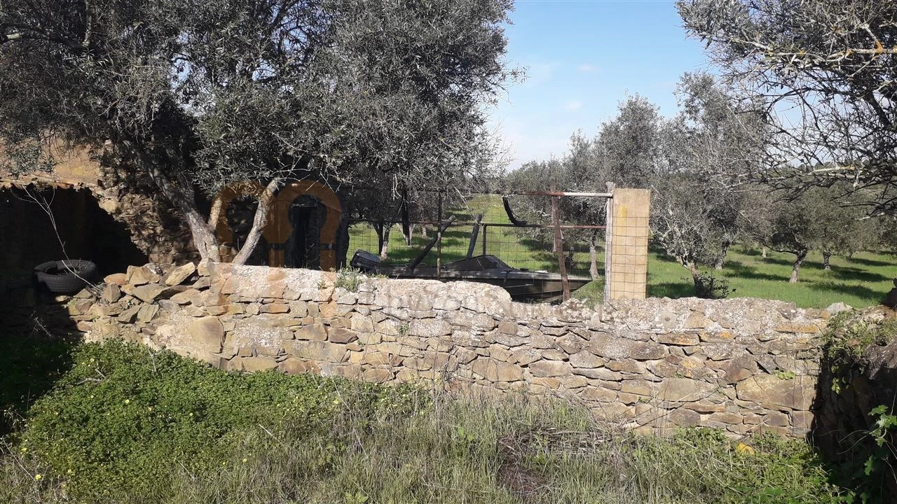 Terreno para Venda em São Miguel do Pinheiro, São Pedro de Solis, São Sebastião dos Carros Foto 2