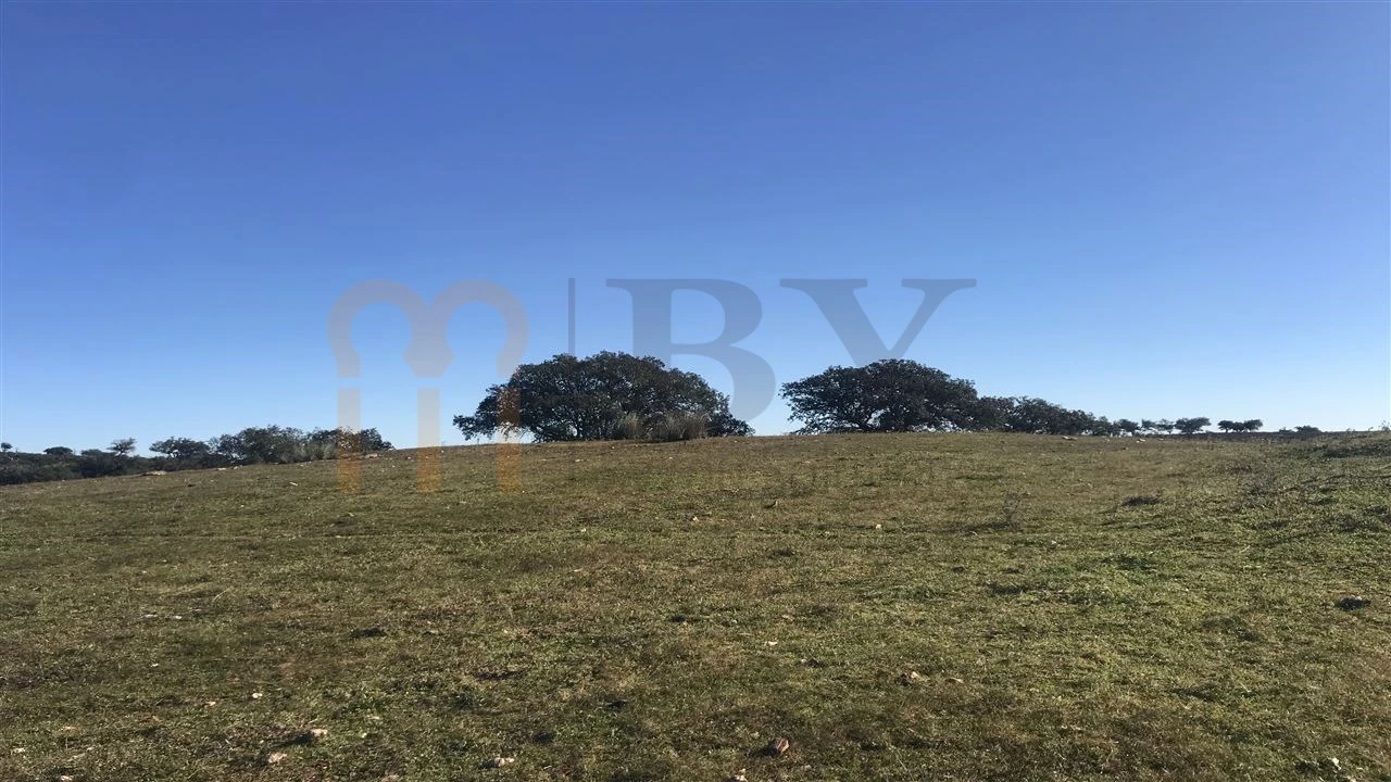 Quinta para Venda em Santana de Cambas Foto 7