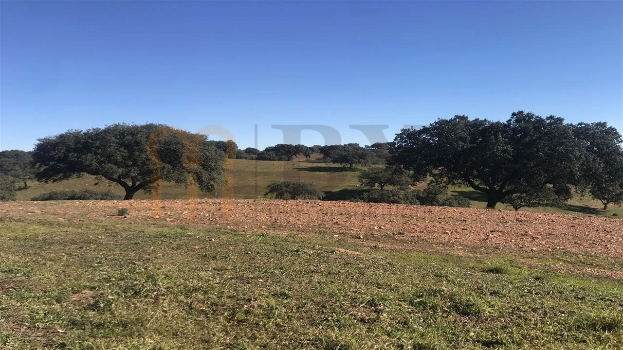 Quinta para Venda em Santana de Cambas Foto 10