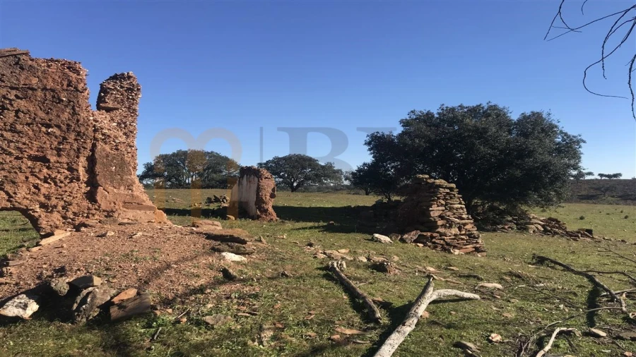 Quinta para Venda em Santana de Cambas Foto 3