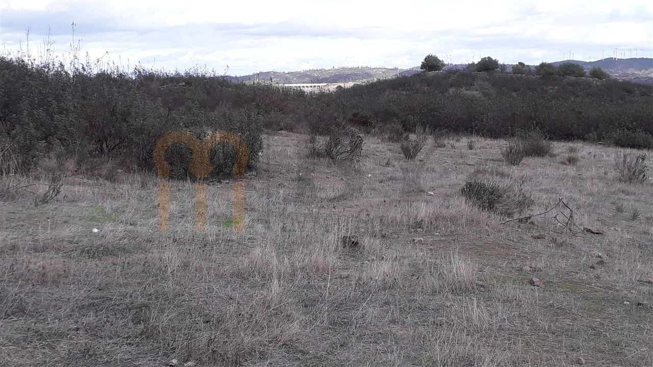 Terreno Agricola ou Rústico para Venda em Espirito Santo Foto 5