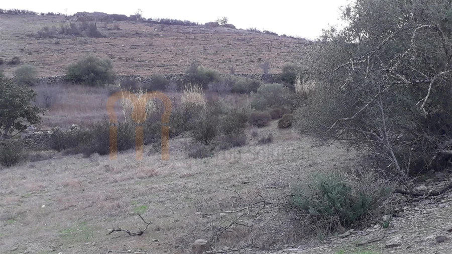 Terreno Agricola ou Rústico para Venda em Espirito Santo Foto 3