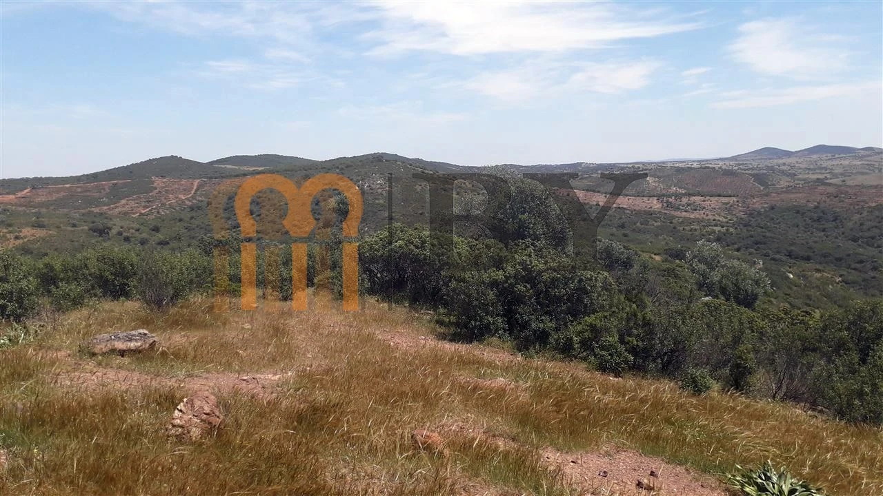 Quinta para Venda em Alcaria Ruiva Foto 5