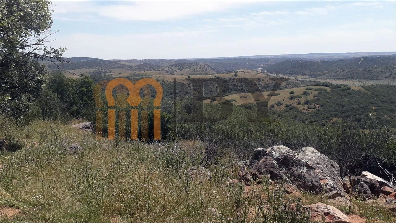 Quinta para Venda em Alcaria Ruiva Foto 6