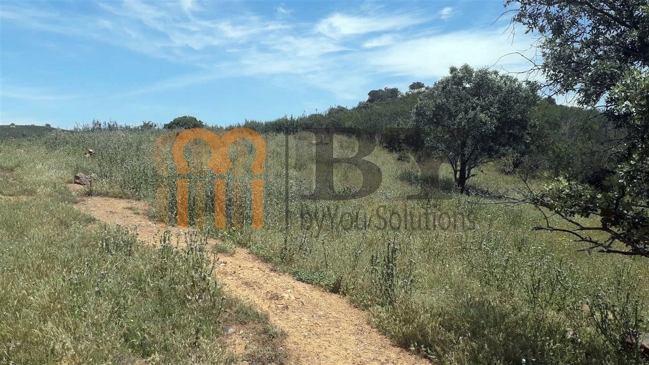 Quinta para Venda em Alcaria Ruiva Foto 7