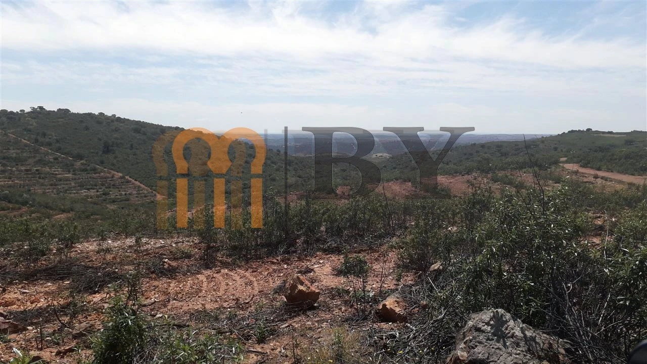 Quinta para Venda em Alcaria Ruiva Foto 9