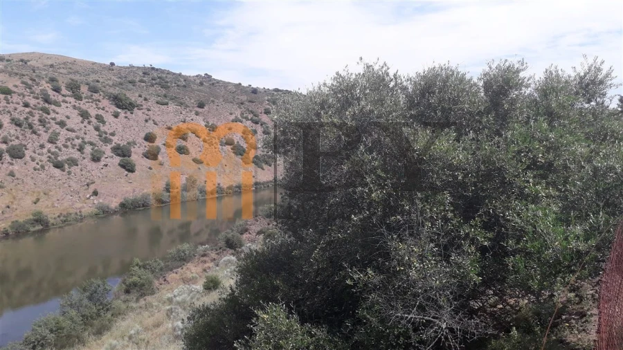 Quinta para Venda em Alcaria Ruiva Foto 2