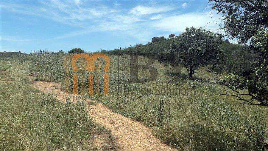 Quinta para Venda em Alcaria Ruiva Foto 7