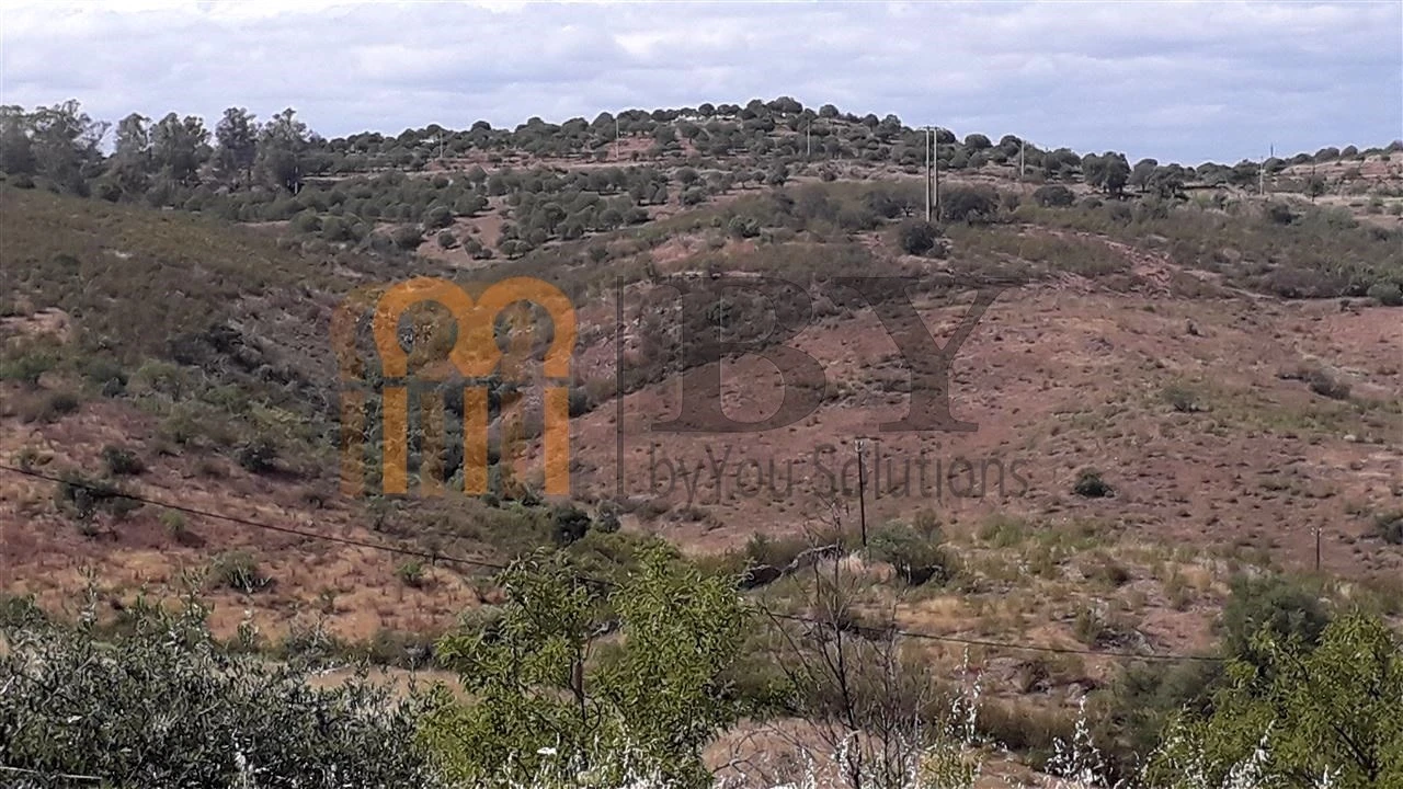 Terreno Agricola ou Rústico para Venda em Espirito Santo Foto 2
