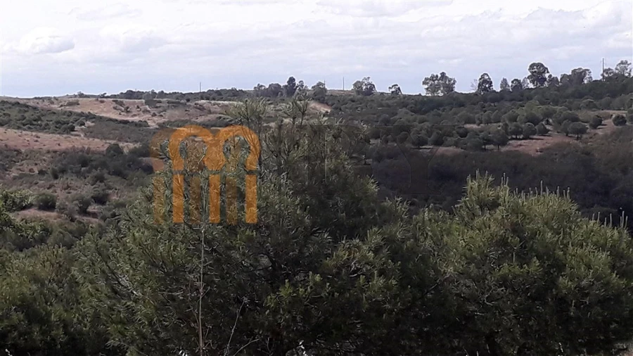 Terreno Agricola ou Rústico para Venda em Espirito Santo Foto 4